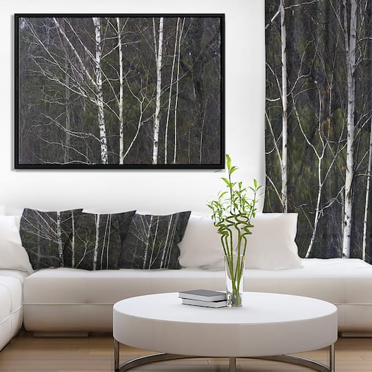 Designart - Black and White Birch Forest